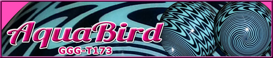 GGG-T173 AquaBird